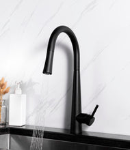 Charger l'image dans la galerie, Robinet de cuisine à bec rétractable fini noir mât