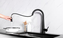 Charger l'image dans la galerie, Robinet de cuisine à bec rétractable fini noir mât