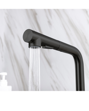 Charger l'image dans la galerie, Robinet de cuisine à bec rétractable fini noir mat