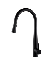 Charger l'image dans la galerie, Robinet de cuisine à bec rétractable fini noir mât